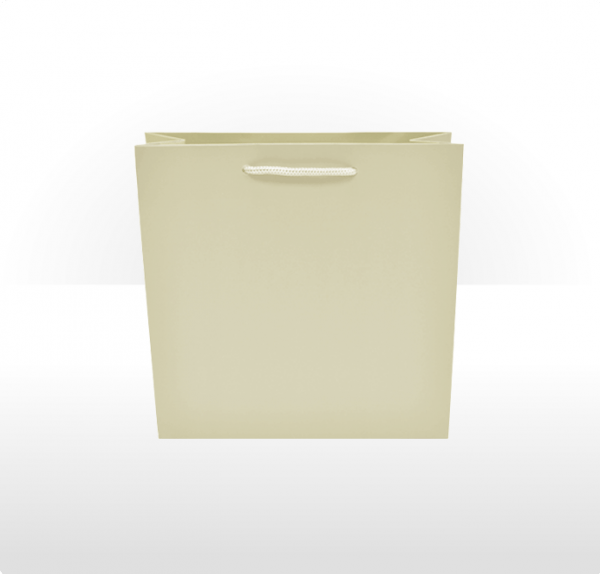 Medium Ivory Paper Bag