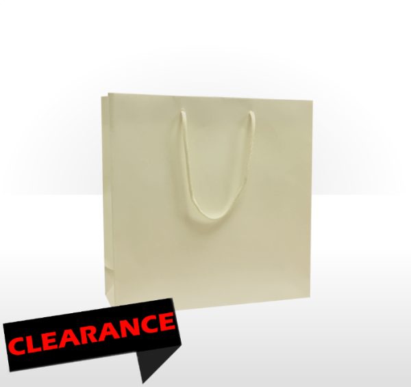 Medium Ivory Paper Bag