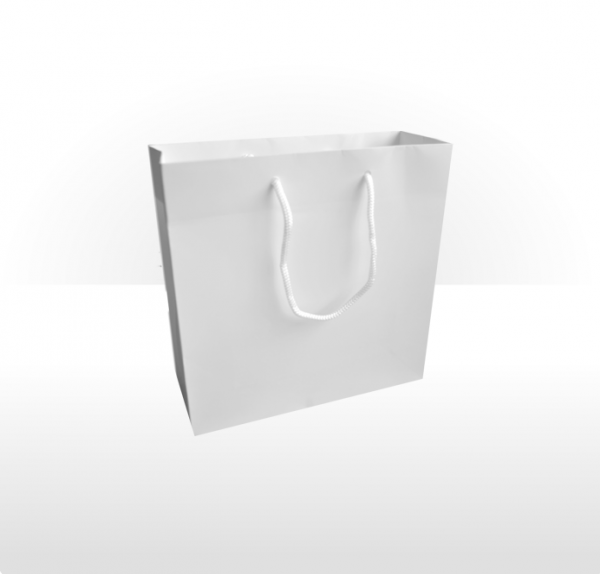 Medium White Paper Bag Stockpak