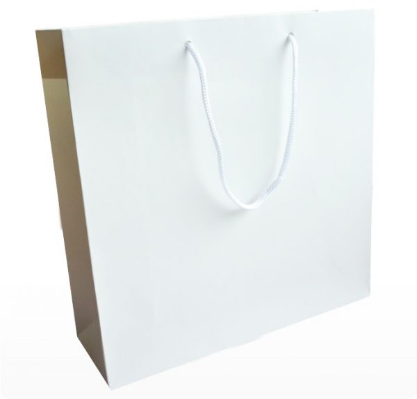 Large White Paper Bag