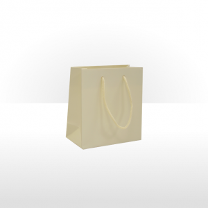 Small Ivory Paper Bag