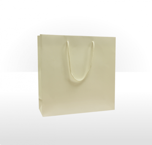 Medium Ivory Paper Bag Stockpak