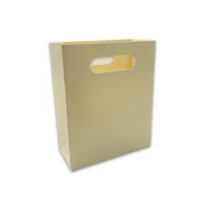Cream Paper Gift Bag