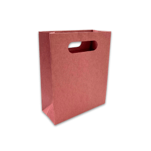 Pink Paper Gift Bag