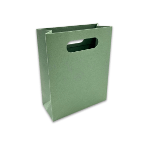 Green Paper Gift Bag